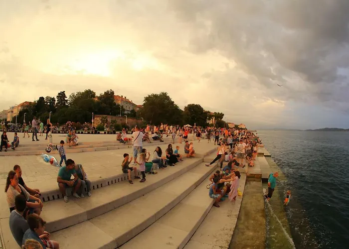 Διαμέρισμα T&d